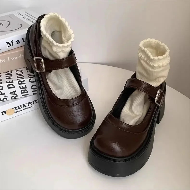 Brown Retro French Thick Heel Mary Janes Women's Shoes Spring 2025 New Style Heightening Flat Mouth High Heels Loafers Shoes