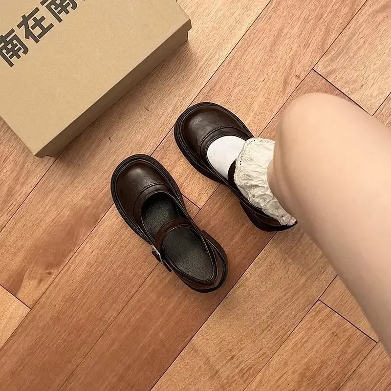 Brown Retro French Thick Heel Mary Janes Women's Shoes Spring 2025 New Style Heightening Flat Mouth High Heels Loafers Shoes