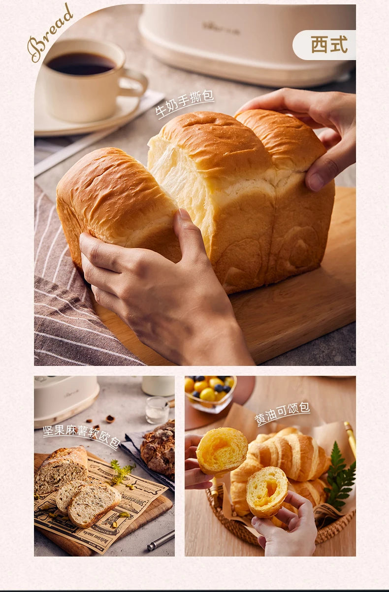 Bear dough mixer, home kneading machine, automatic chef machine, mixing noodle machine, noodle fermentation machine 220V