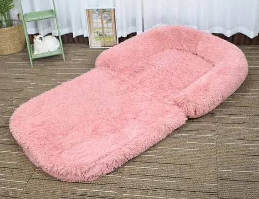 Canine Comfort Lounge