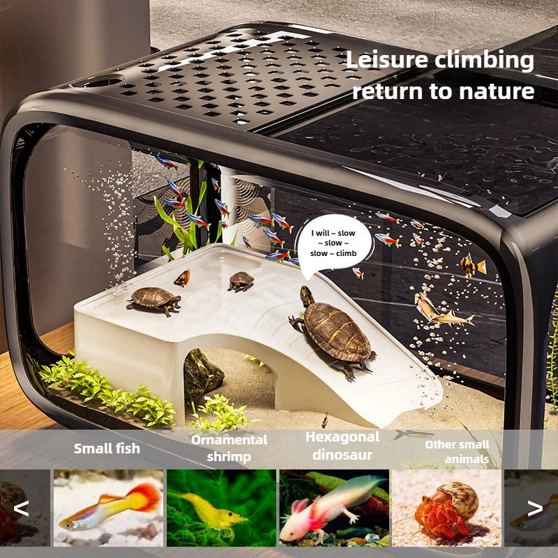 Creative Aquarium Fish Tank Ecological Landscape Set Integrated Filtration Oxygen Generation Machine Transparent Turtle Tank