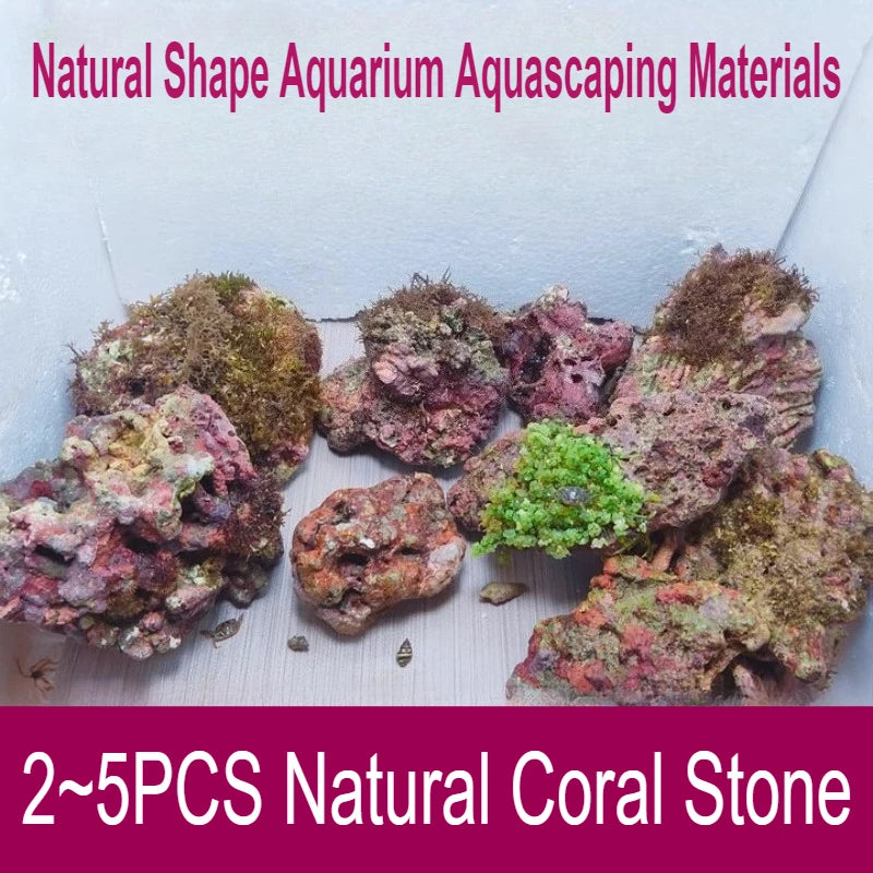 Sea Water Fish Tank Coral Reef Landscape Natural Coral Stone Coral Cultivation Base DIY Originality Scenery