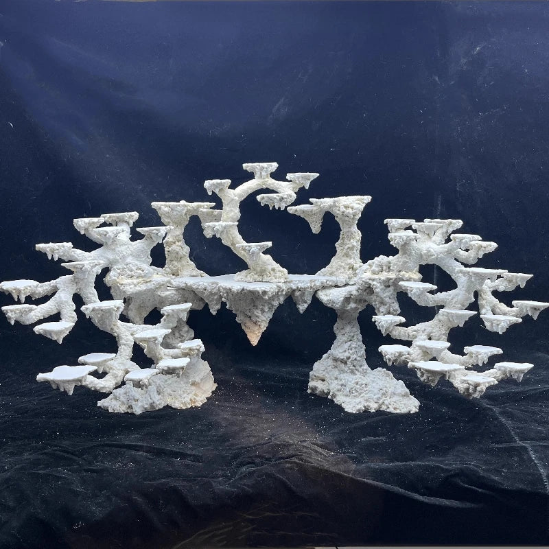 Sea Water Fish Tank Coral Reef Landscape Natural Coral Stone Coral Cultivation Base DIY Originality Scenery