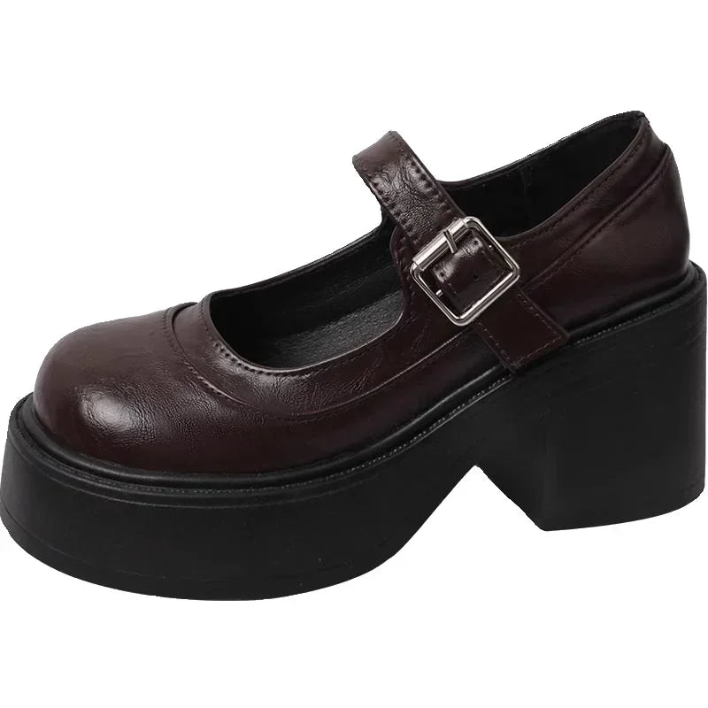 Brown Retro French Thick Heel Mary Janes Women's Shoes Spring 2025 New Style Heightening Flat Mouth High Heels Loafers Shoes