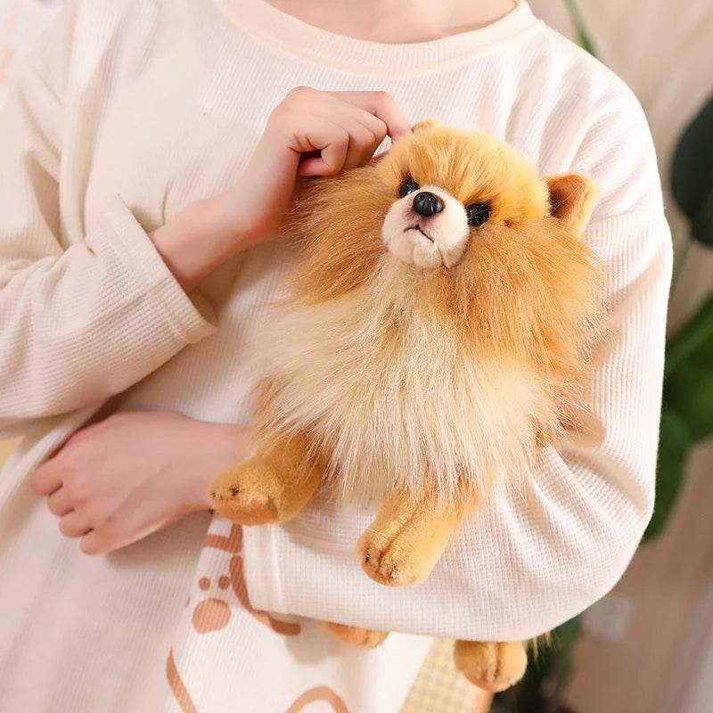 Premium Simulation Pomeranian Dog Plush Toy Cute Stuffed Animals High Quality Puppy Plushies Doll Cartoon Soft Kids Toys Gifts - AIAZ