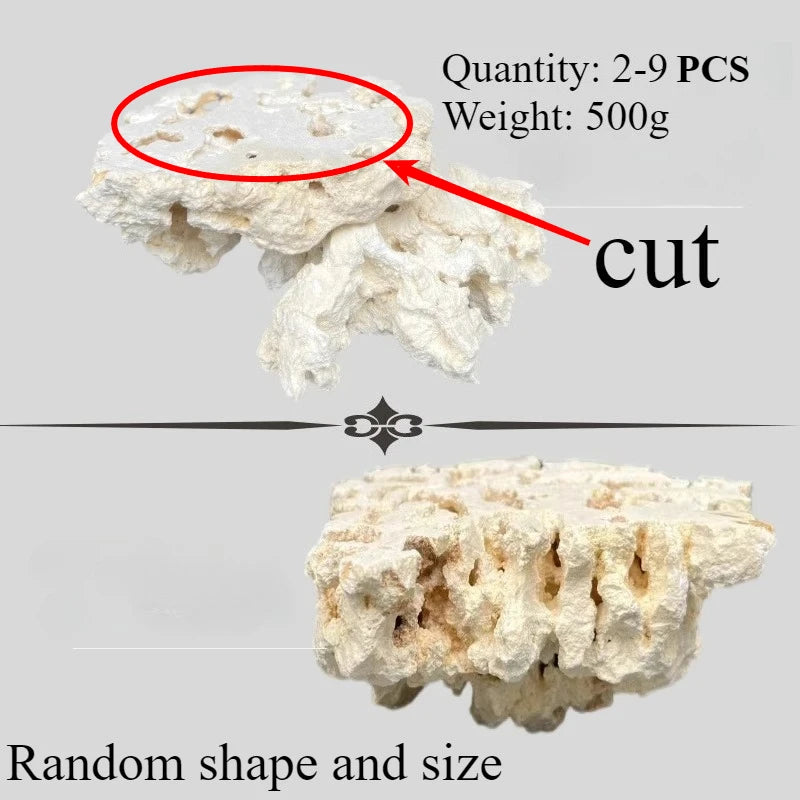 Sea Water Fish Tank Coral Reef Landscape Natural Coral Stone Coral Cultivation Base DIY Originality Scenery