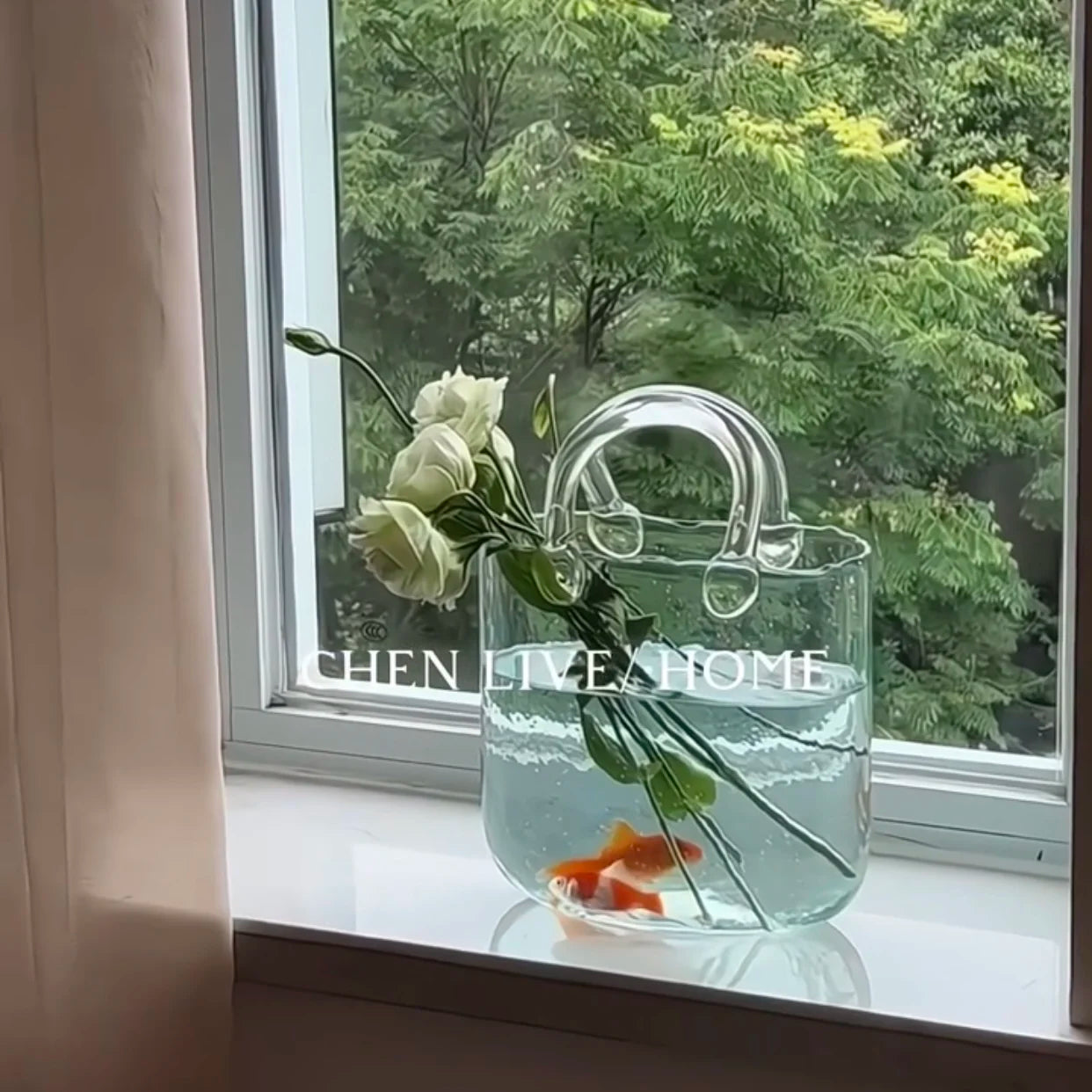 Transparent Glass Handheld Vase Creative Hydroponic Flower Arranger Living Room Decorative Tabletop Aquarium Modern Simplici