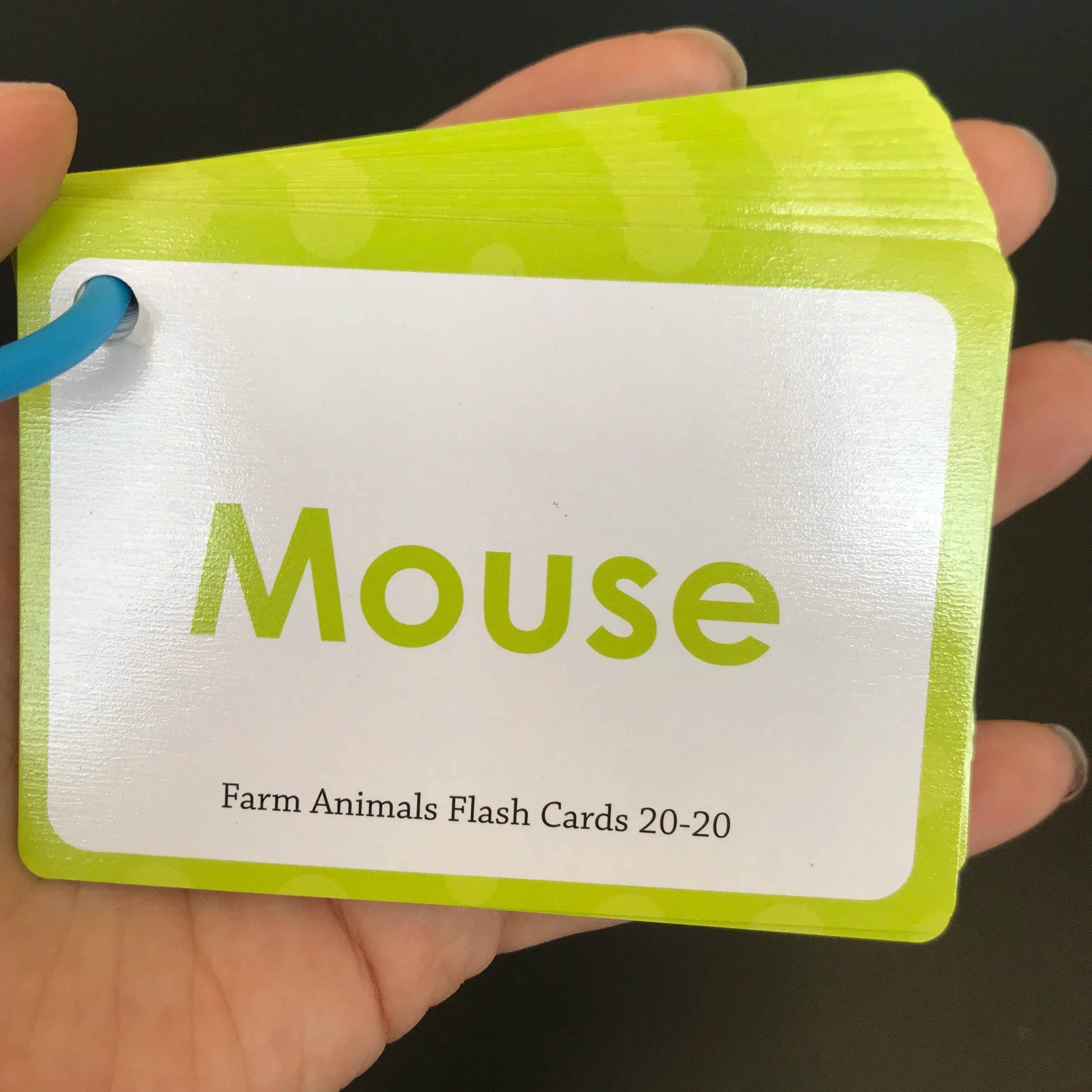 Kids English Words Learning Flashcards Reading Enlightenment Cards Home School Educational Toys Montessori Teacher Teaching Aids - AIAZ