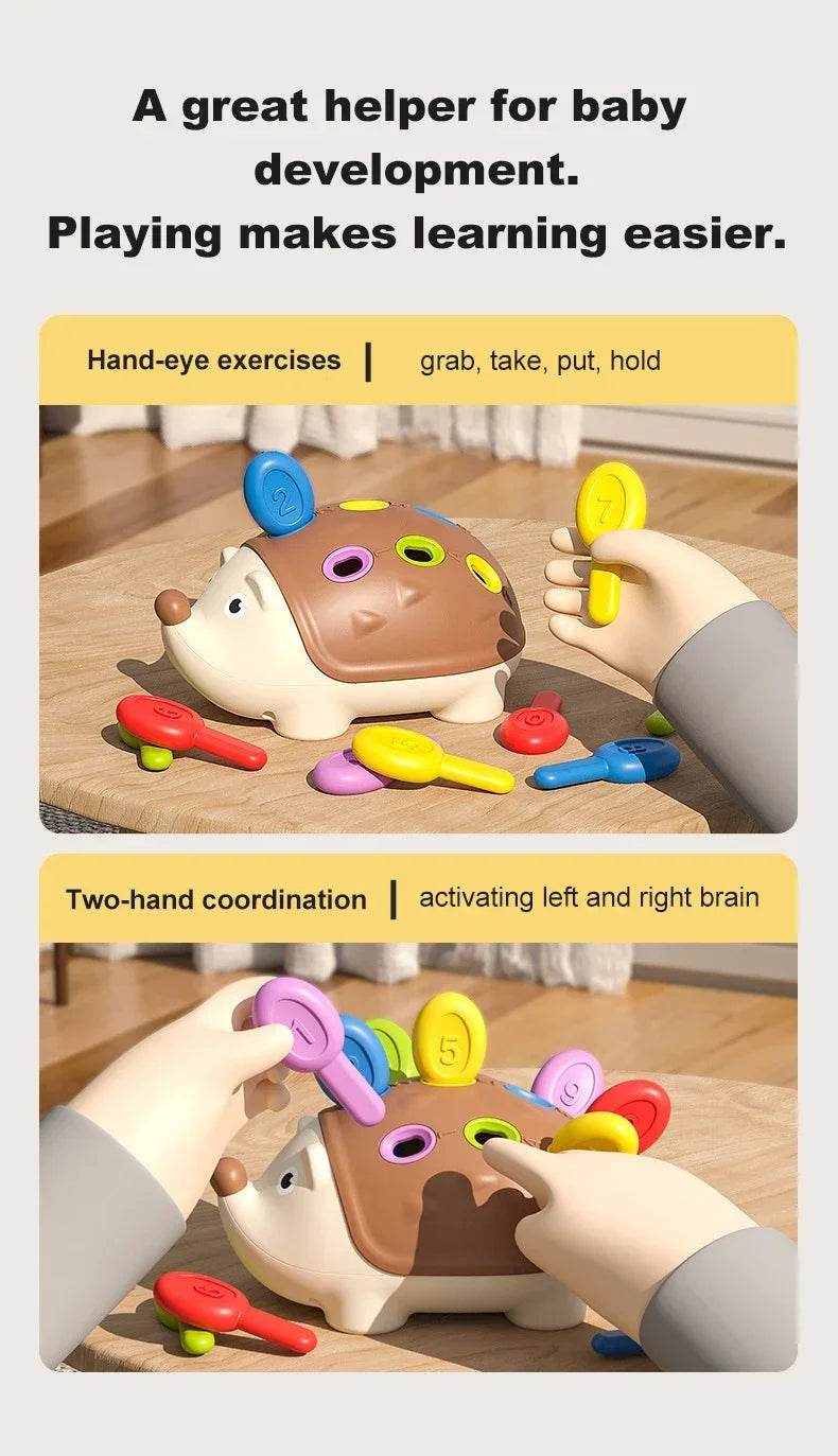 Hedgehog Montessori Educational Toy Fine Motor Toys for Toddlers Learning Counting & Training Develop Concentration Sensory Gift - AIAZ