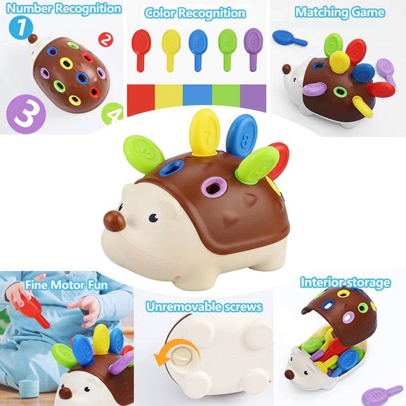 Hedgehog Montessori Educational Toy Fine Motor Toys for Toddlers Learning Counting & Training Develop Concentration Sensory Gift - AIAZ