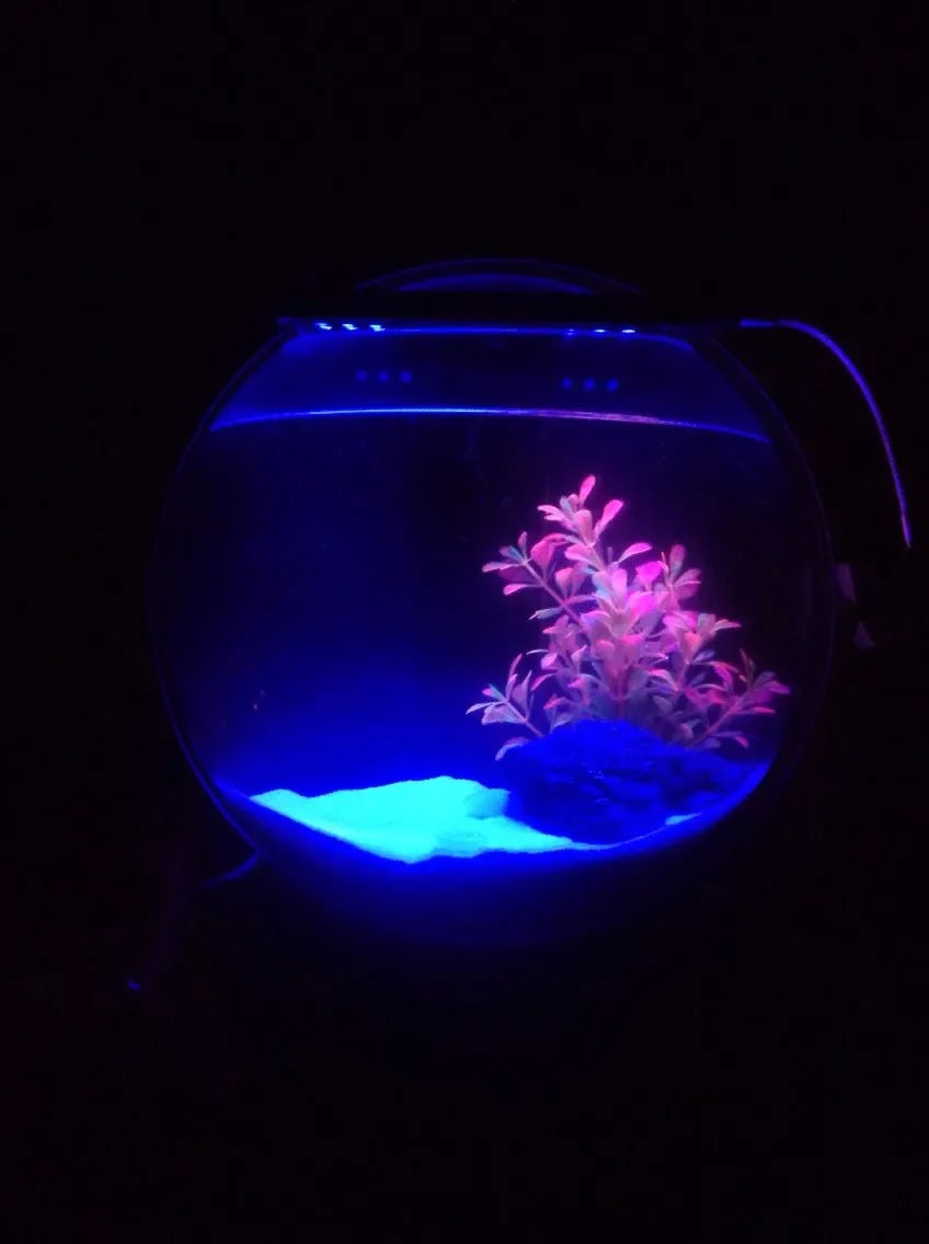 Pinsjar Acrylic Fish Bowl Wall Hanging Aquarium Tank Aquatic Pet Supplies Pet Products Wall Mount Fish Tank for Betta fish