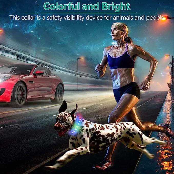 New Led Luminous Dog Collar PVC Waterproof , For Large Medium Small Dogs Collar Usb Light Night Safety Pet Glowing Accessories