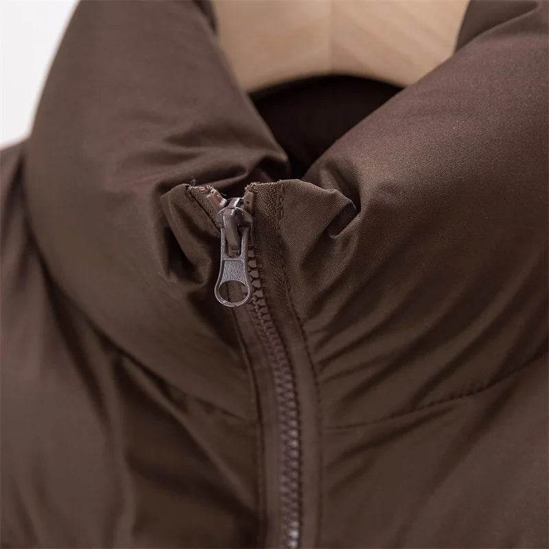 Elegant Chic Vests Fashionable Sleeveless Stand Collar Zipper Basic Autumn Winter Jacket Thick Warm Casual Women Vest Jacket ﻿ - AIAZ