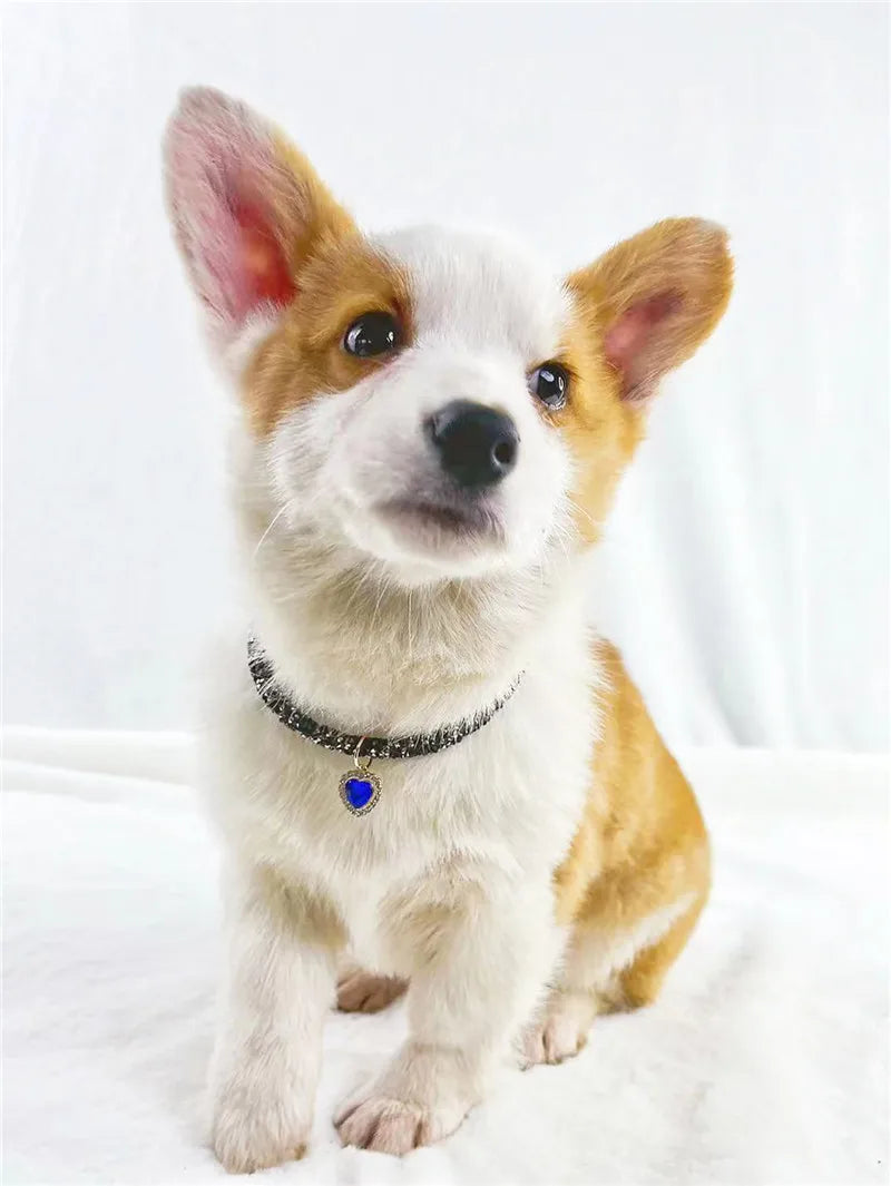 Crystal Cat Collar Heart Gem Pendant Party Rhinestone Necklace Adjustable Cats Puppy Chihuahua Wedding Pet Accessories