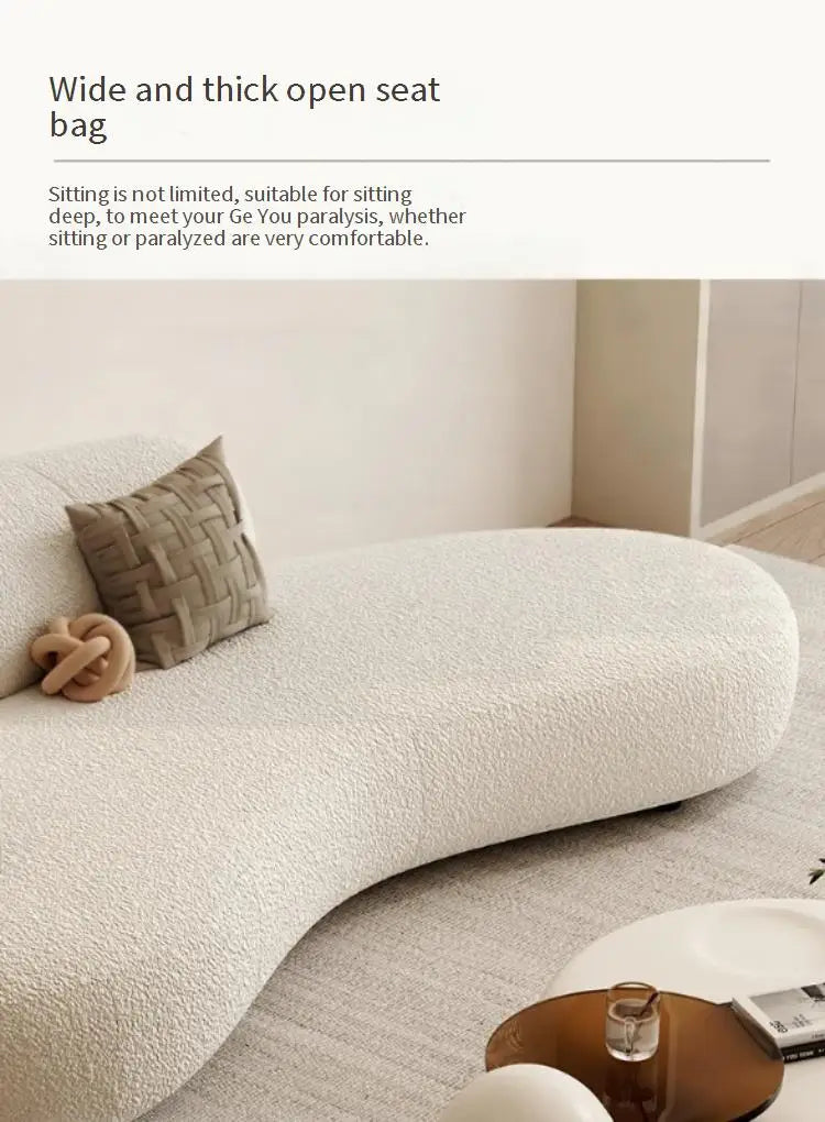 Lazy Luxury Living Room Sofas Modern Double Accent Lounge Sofas Designer Comfortable Divani Da Soggiorno Home Decoration