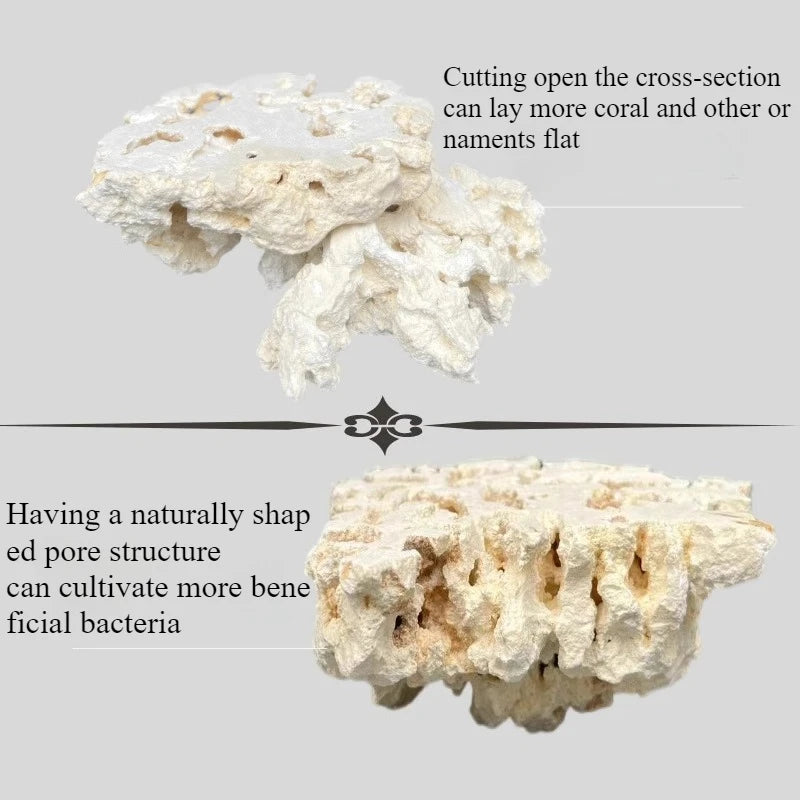 Sea Water Fish Tank Coral Reef Landscape Natural Coral Stone Coral Cultivation Base DIY Originality Scenery