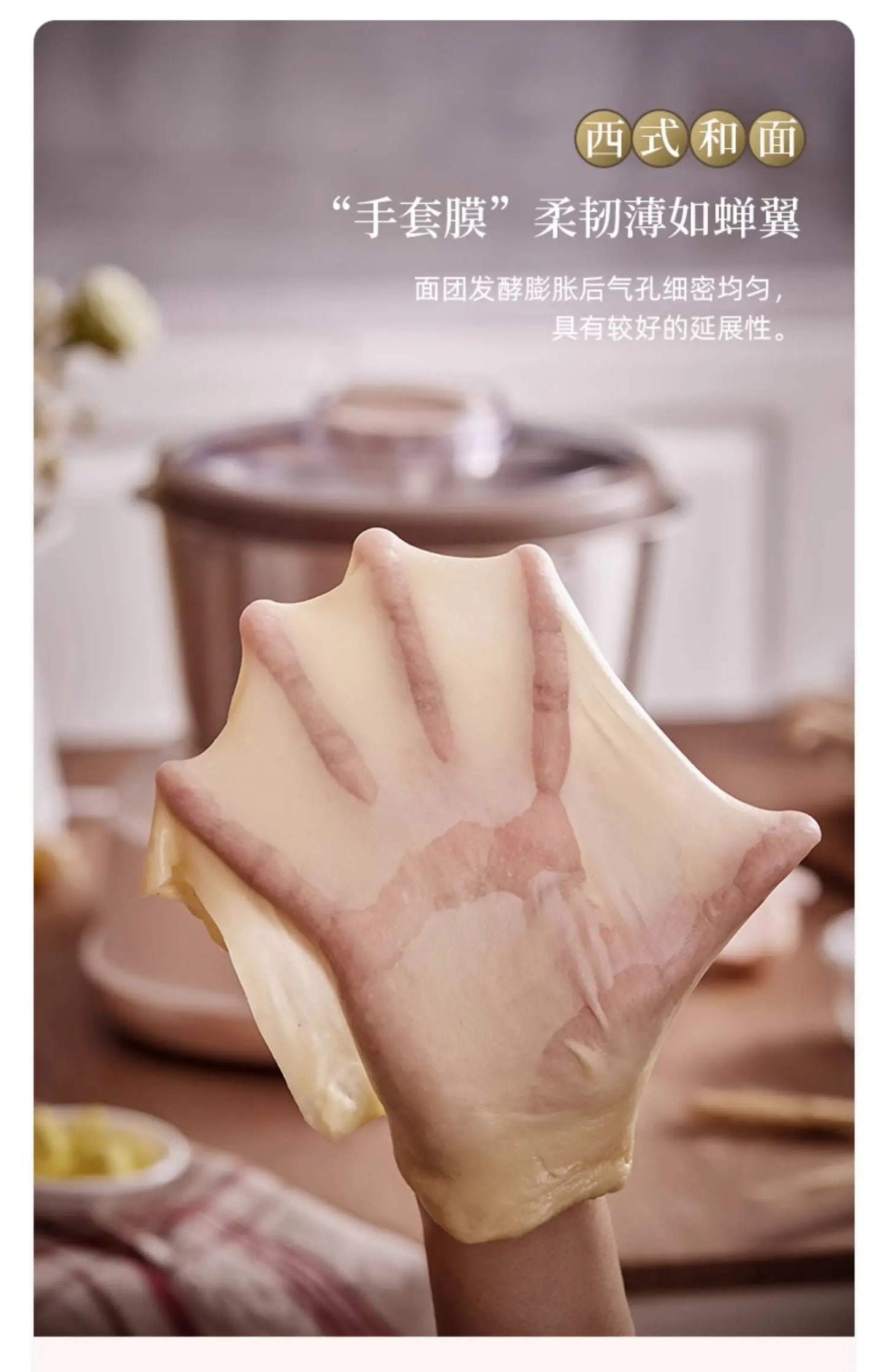 Bear dough mixer, home kneading machine, automatic chef machine, mixing noodle machine, noodle fermentation machine 220V
