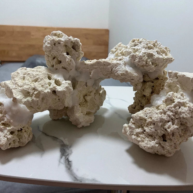 Sea Water Fish Tank Coral Reef Landscape Natural Coral Stone Coral Cultivation Base DIY Originality Scenery