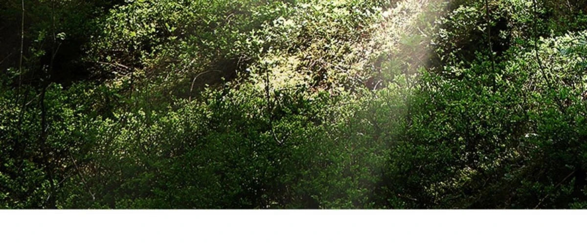 Adjustable Cat Tree House Tower Multi-function Floor To Ceiling Wooden House Tower Soft with Pet Condo Flannel Hammock Bed