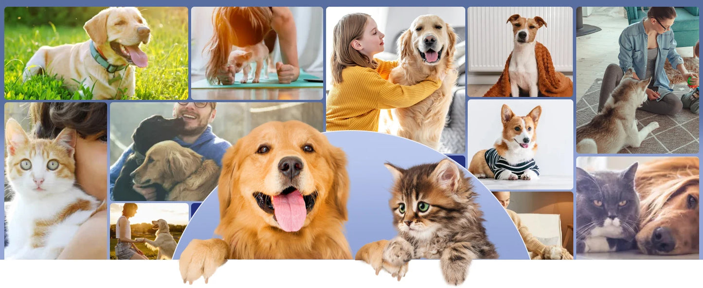 Dog Grooming Kit,Pet Grooming Vacuum&Dog Clippers,7 in 1 Pet Grooming Vacuum,Professional Grooming Shedding Tools for Dogs Cats