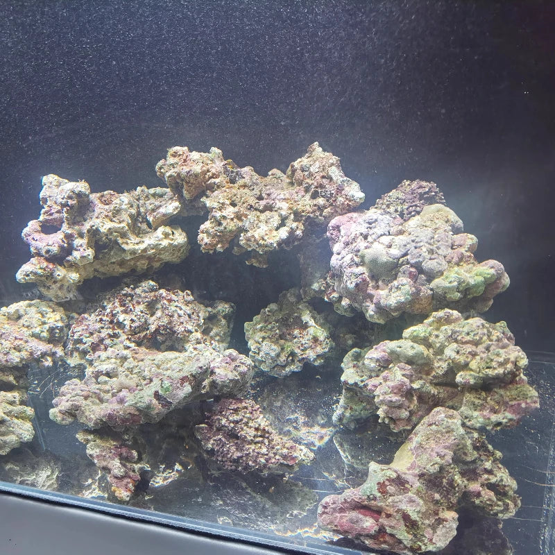 Sea Water Fish Tank Coral Reef Landscape Natural Coral Stone Coral Cultivation Base DIY Originality Scenery