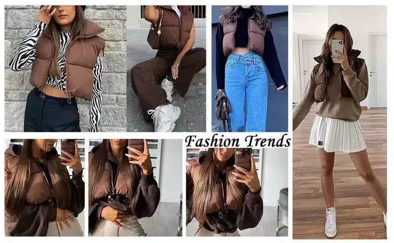 Elegant Chic Vests Fashionable Sleeveless Stand Collar Zipper Basic Autumn Winter Jacket Thick Warm Casual Women Vest Jacket ﻿ - AIAZ