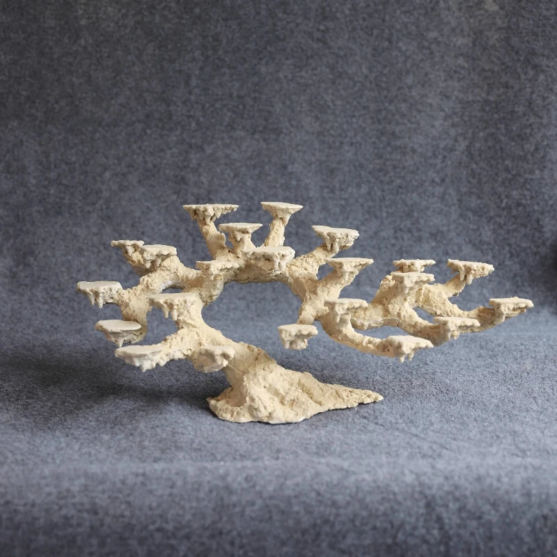 Sea Water Fish Tank Coral Reef Landscape Natural Coral Stone Coral Cultivation Base DIY Originality Scenery