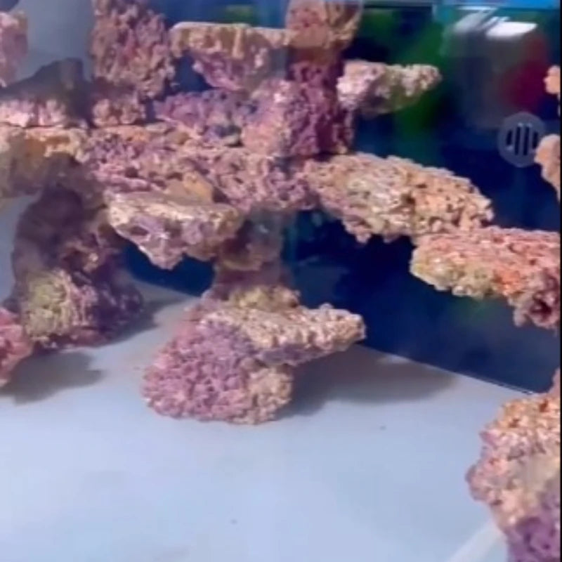 Sea Water Fish Tank Coral Reef Landscape Natural Coral Stone Coral Cultivation Base DIY Originality Scenery