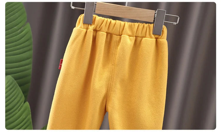 New Spring Autumn Baby Girls Clothes Kids Outfits Children Boys T-Shirt Pants 2Pcs/Sets Toddler Sports Costume Infant Tracksuits