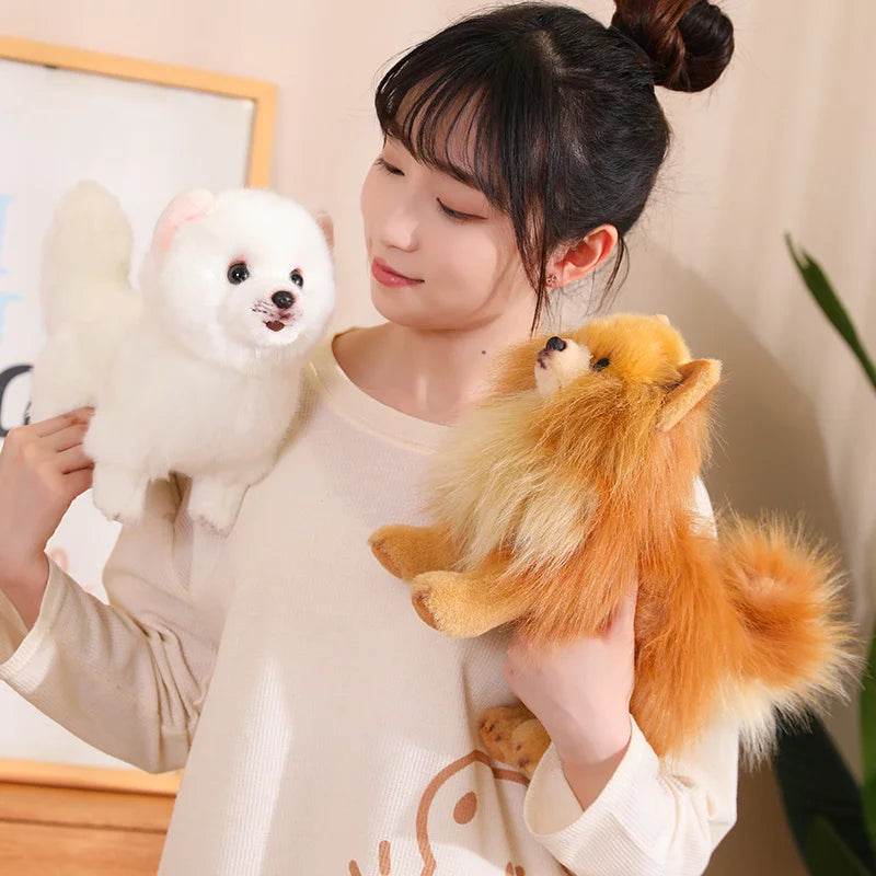 Premium Simulation Pomeranian Dog Plush Toy Cute Stuffed Animals High Quality Puppy Plushies Doll Cartoon Soft Kids Toys Gifts - AIAZ