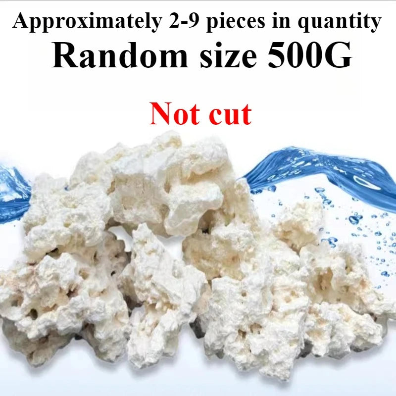 Sea Water Fish Tank Coral Reef Landscape Natural Coral Stone Coral Cultivation Base DIY Originality Scenery