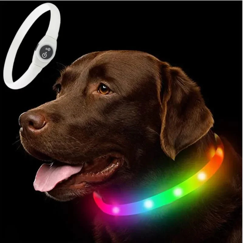 New Led Luminous Dog Collar PVC Waterproof , For Large Medium Small Dogs Collar Usb Light Night Safety Pet Glowing Accessories