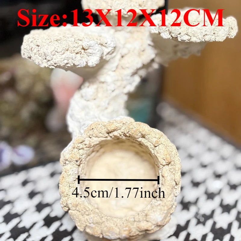 Sea Water Fish Tank Coral Reef Landscape Natural Coral Stone Coral Cultivation Base DIY Originality Scenery