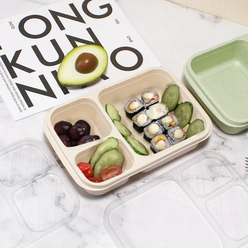 Wheat Straw Lunch Box Divided Into Compartments Insulated Lunch Box With Lid Square Lunch Box Portable Lunch Box - AIAZ
