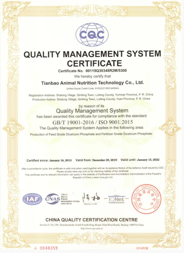 VQYSKO INS Small Square Zircon Set Women's Ring Fashion Temperament Wear Simple Single Tail Jewelry