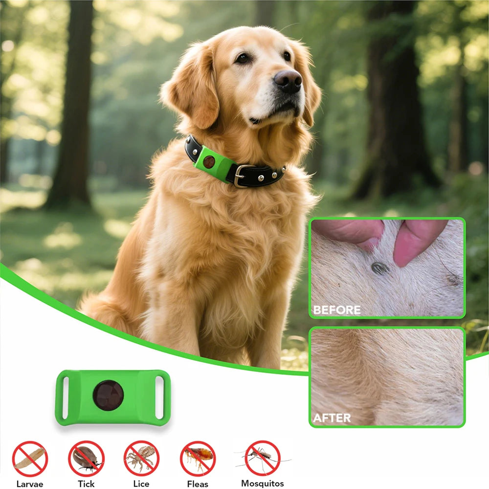 Natural Pets Anti - Flea & Tick Essential Oil Pendant Dogs Cats Safe Collar Wearable Pet Tags with Essential Oils to Repel Pests