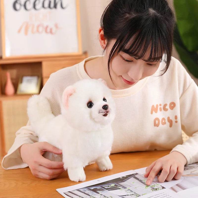 Premium Simulation Pomeranian Dog Plush Toy Cute Stuffed Animals High Quality Puppy Plushies Doll Cartoon Soft Kids Toys Gifts - AIAZ