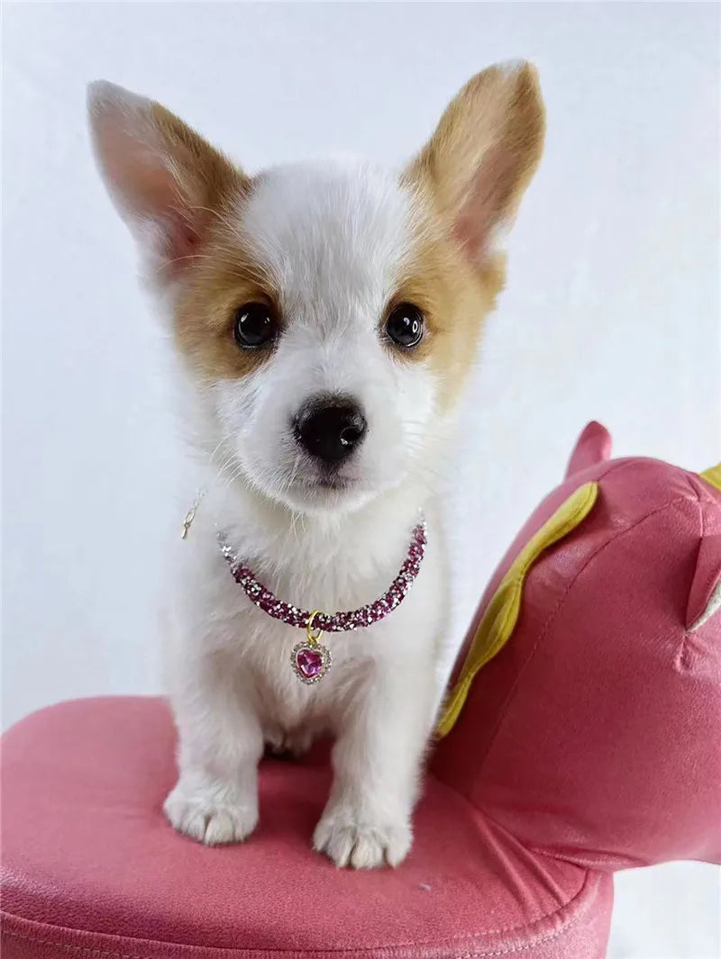 Crystal Cat Collar Heart Gem Pendant Party Rhinestone Necklace Adjustable Cats Puppy Chihuahua Wedding Pet Accessories