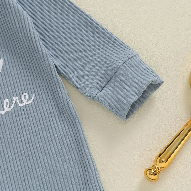 2024-05-08 Lioraitiin Baby Boys Romper Letter Print Long Sleeve Crew Neck Jumpsuits Spring Casual Infant Bodysuits with Hat