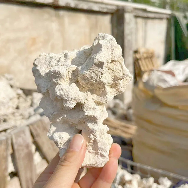 Sea Water Fish Tank Coral Reef Landscape Natural Coral Stone Coral Cultivation Base DIY Originality Scenery