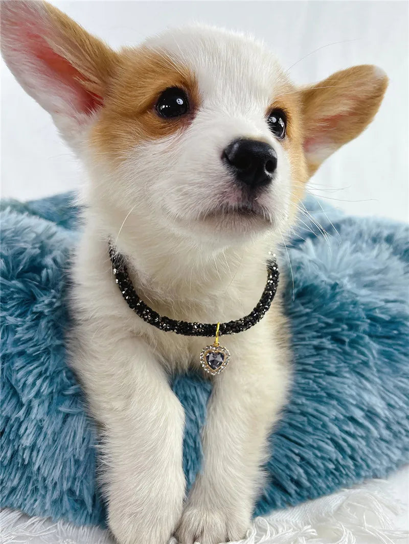 Crystal Cat Collar Heart Gem Pendant Party Rhinestone Necklace Adjustable Cats Puppy Chihuahua Wedding Pet Accessories