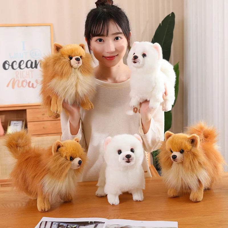 Premium Simulation Pomeranian Dog Plush Toy Cute Stuffed Animals High Quality Puppy Plushies Doll Cartoon Soft Kids Toys Gifts - AIAZ