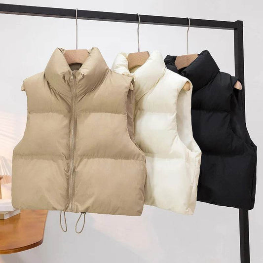 Elegant Chic Vests Fashionable Sleeveless Stand Collar Zipper Basic Autumn Winter Jacket Thick Warm Casual Women Vest Jacket ﻿ - AIAZ