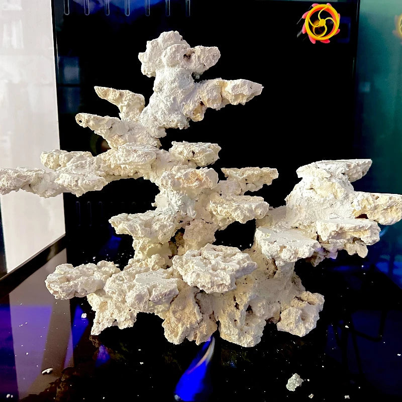 Sea Water Fish Tank Coral Reef Landscape Natural Coral Stone Coral Cultivation Base DIY Originality Scenery