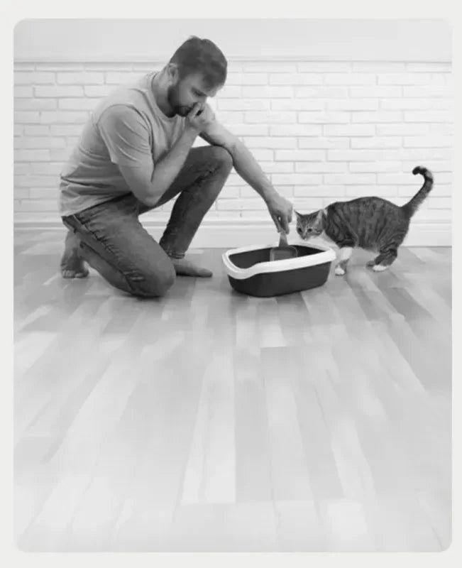 Origin Neakasa M1 Large Low noise Odor Eliminator App Control Intelligent Electric Self Cleaning Smart Automatic Cat Litter Box