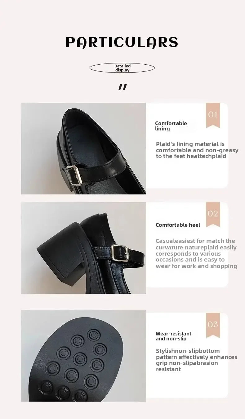 Brown Retro French Thick Heel Mary Janes Women's Shoes Spring 2025 New Style Heightening Flat Mouth High Heels Loafers Shoes