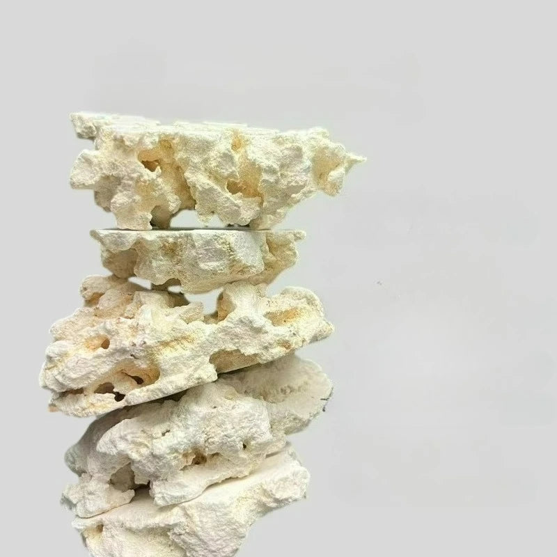 Sea Water Fish Tank Coral Reef Landscape Natural Coral Stone Coral Cultivation Base DIY Originality Scenery
