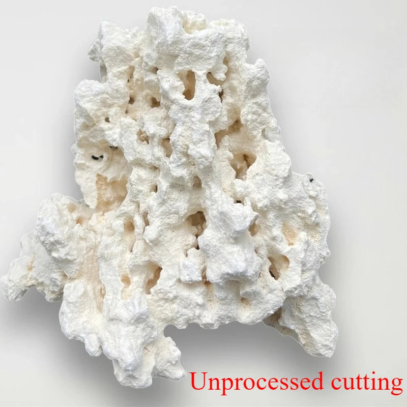 Sea Water Fish Tank Coral Reef Landscape Natural Coral Stone Coral Cultivation Base DIY Originality Scenery