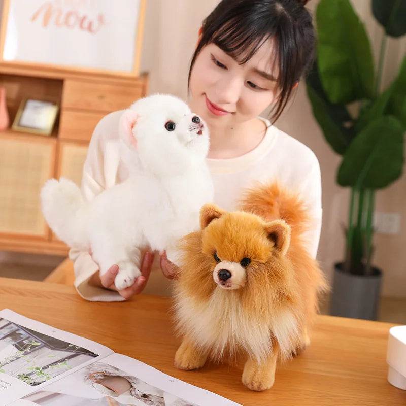 Premium Simulation Pomeranian Dog Plush Toy Cute Stuffed Animals High Quality Puppy Plushies Doll Cartoon Soft Kids Toys Gifts - AIAZ