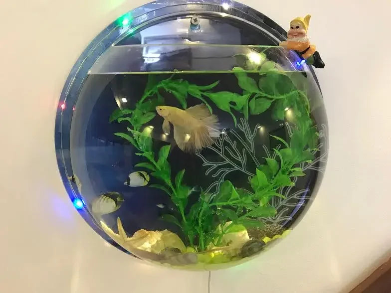 Pinsjar Acrylic Fish Bowl Wall Hanging Aquarium Tank Aquatic Pet Supplies Pet Products Wall Mount Fish Tank for Betta fish